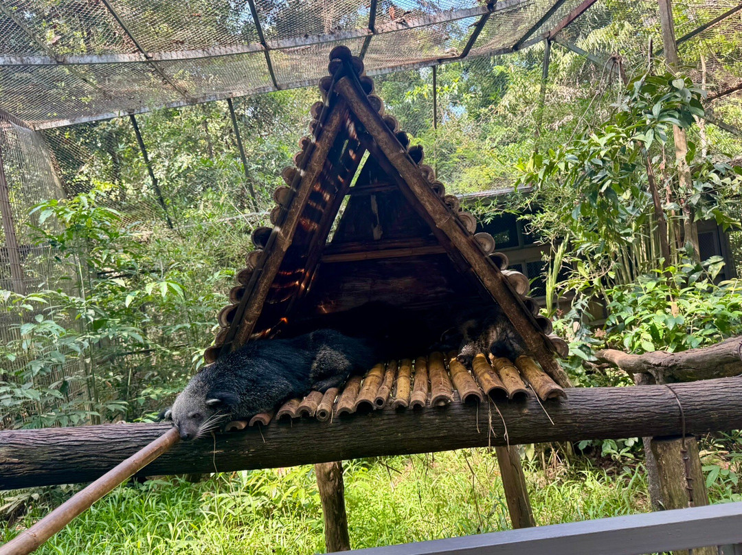 珍珠王国野生动物园-富国岛必去景点