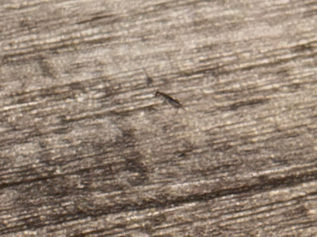 Sømna Kro & Gjestegård主图