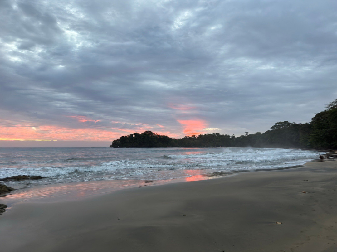 Playa Punta Uva-Punta Uva必去景点