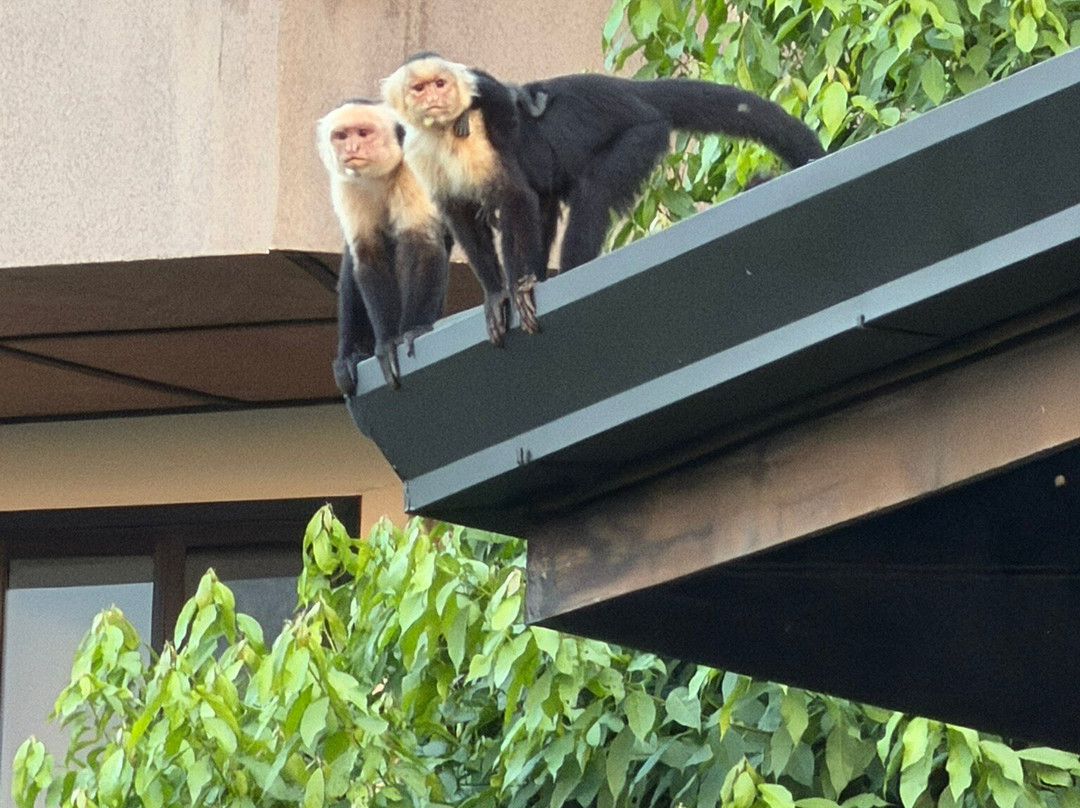 图莱马尔豪华度假屋主图