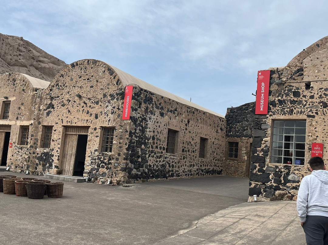 Tomato Industrial Museum, D.Nomikos-维查德必去景点