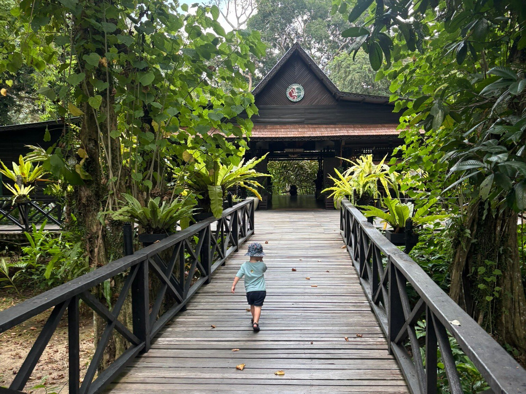 Borneo Eco Tours-亚庇必去景点