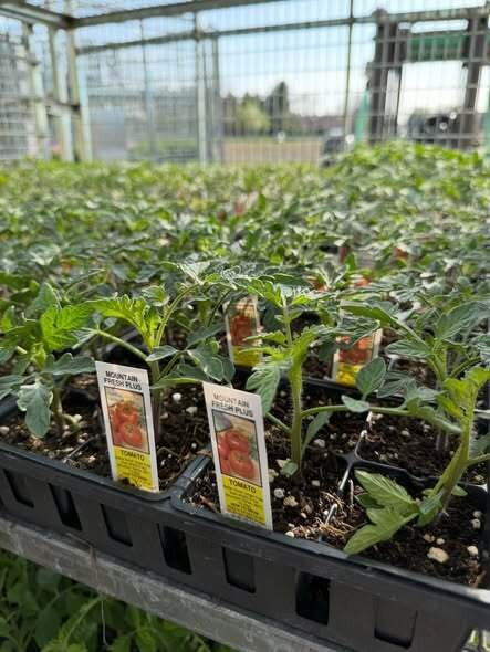 Gatewood Vegetable Farm & Greenhouses, Inc.-Noblesville必去景点