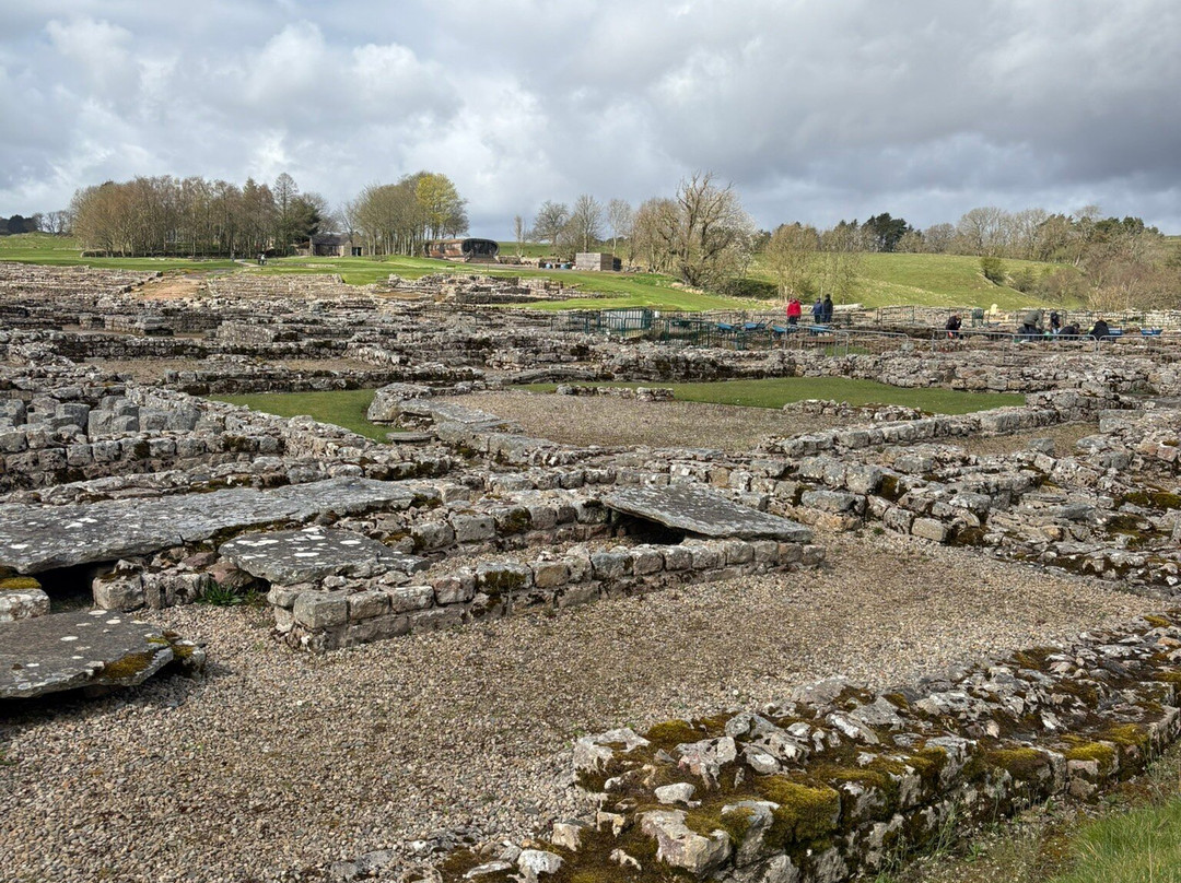 Vindolanda-赫克瑟姆必去景点