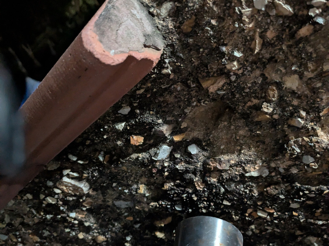 考拉奔度假村主图