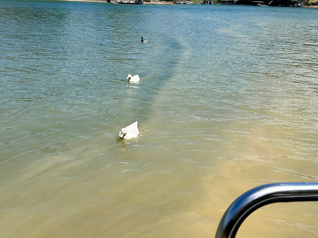 Blue Ridge Boat Rentals-Morganton必去景点