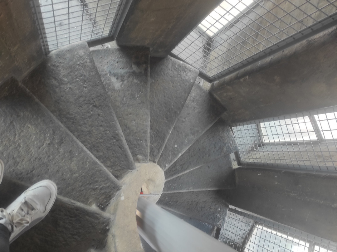 Basilica di San Gaudenzio-诺瓦拉必去景点