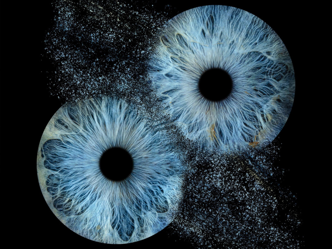 Iris Galerie Maastricht-马斯特里赫特必去景点