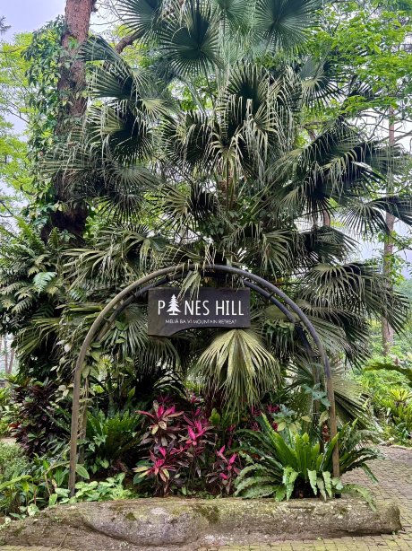 巴位山美利亚度假酒店-旅行者