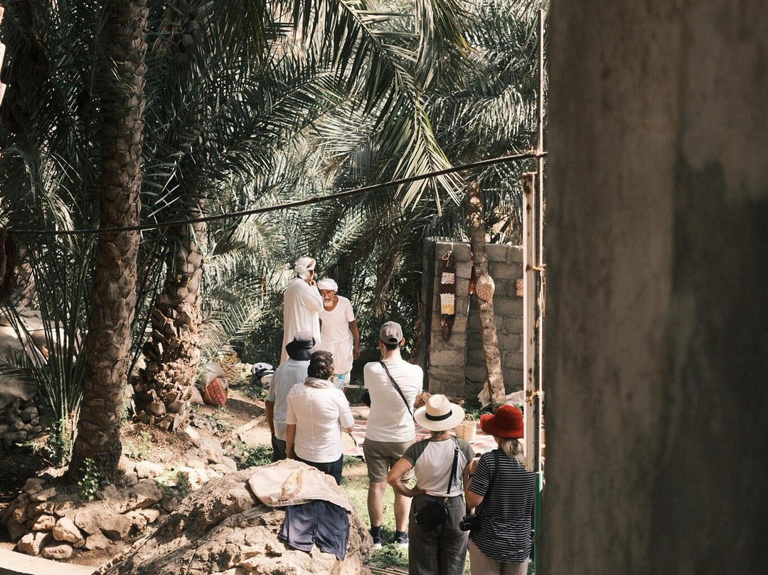 Wadi Tiwi Waterfall-Sur必去景点