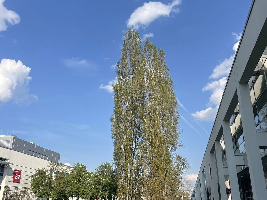 Messe München-慕尼黑必去景点