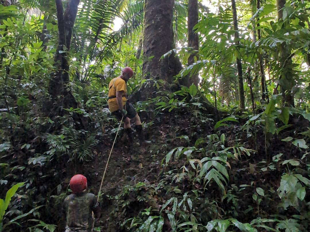 Selva Bananito Lodge主图