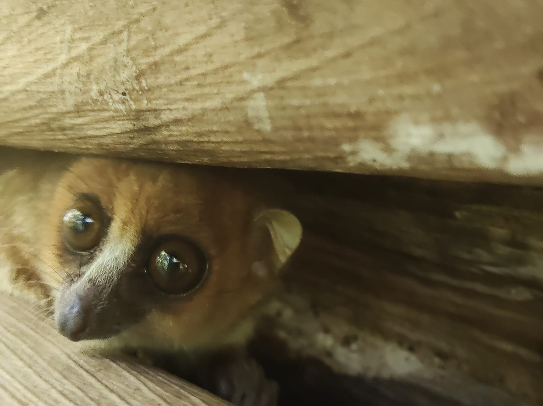 Nosy Be Alberto Tour-诺西贝必去景点