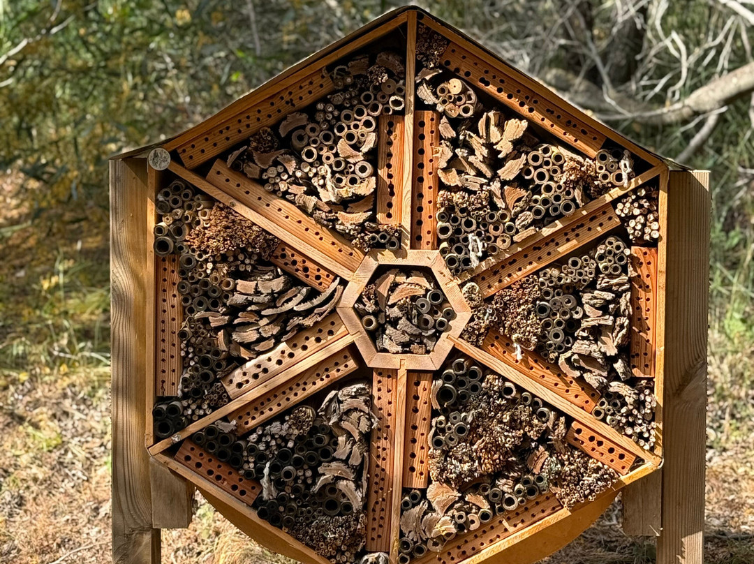 Bee Garden Alghero-阿尔盖罗必去景点