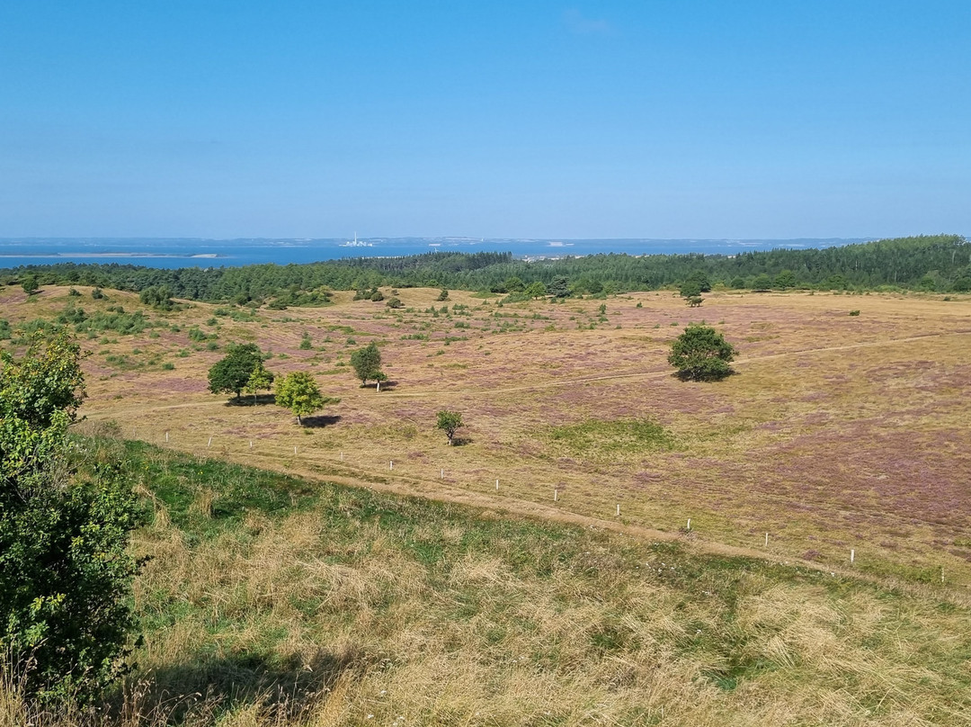 Nationalpark Mols Bjerge-Roende必去景点