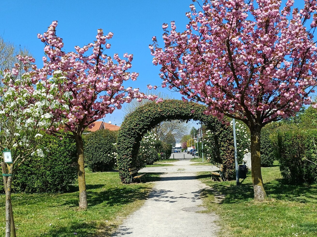 Parco Papa Giovanni Paolo Ii