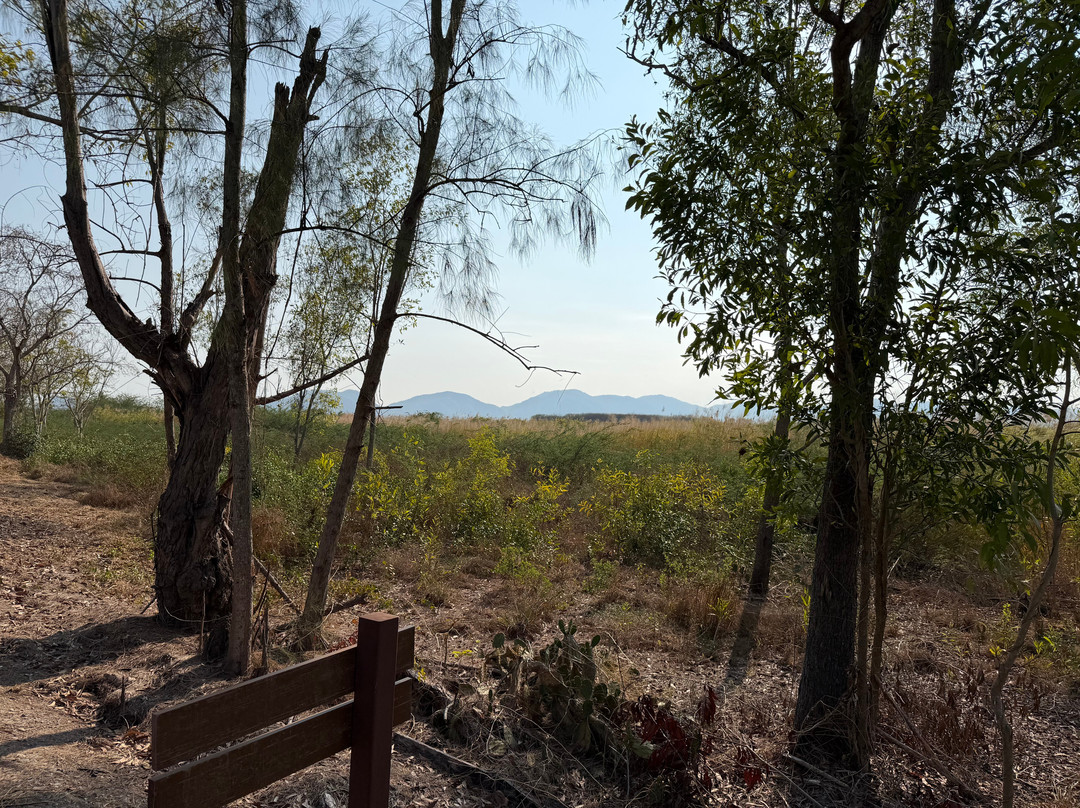 Cha-am Forest Park-七岩必去景点