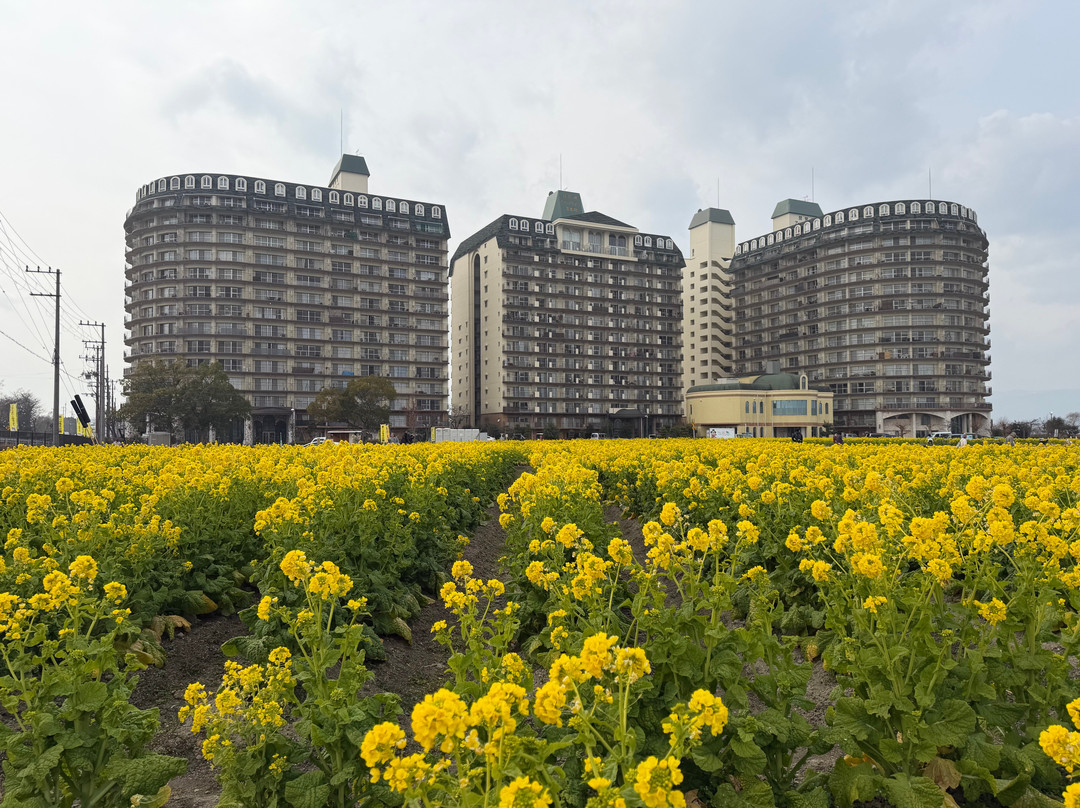 Nagisa Park-守山市必去景点