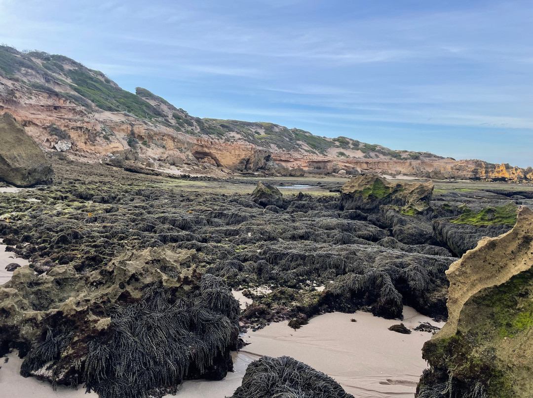 Bridgewater Bay-Blairgowrie必去景点