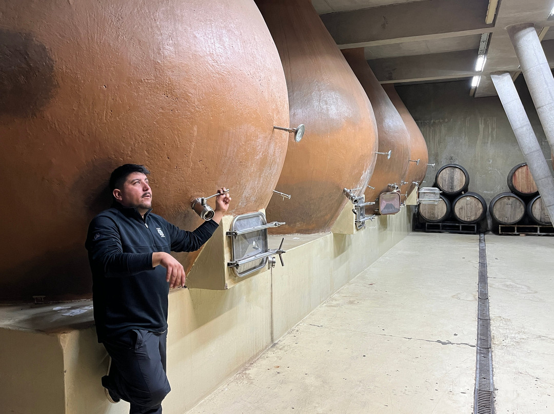 Bodegas RE
