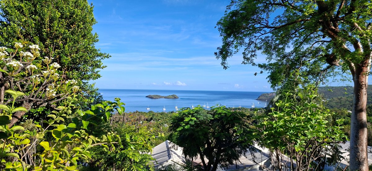 Le Jardin Tropical-旅行者