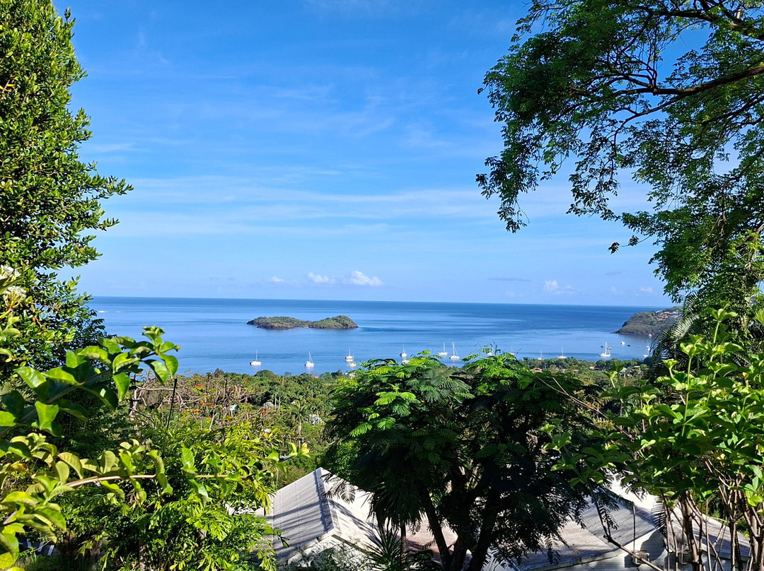 Le Jardin Tropical主图