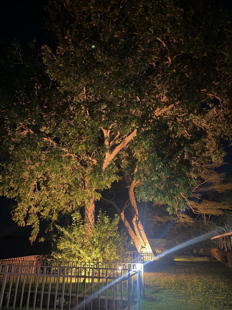 Recanto Do Araguaia-旅行者