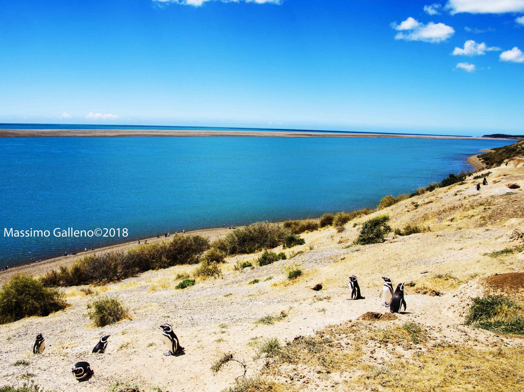 Caleta Valdes-Puerto Piramides必去景点