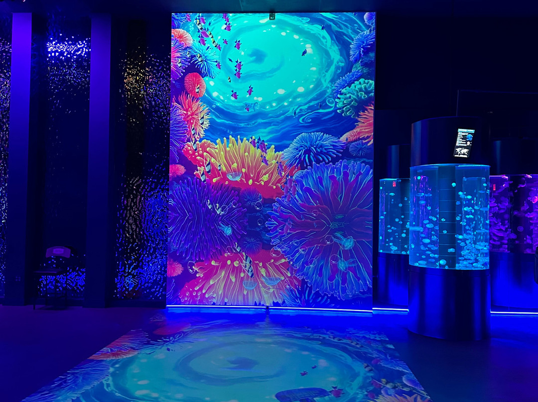 Jellyfish Museum-庞帕诺比奇必去景点