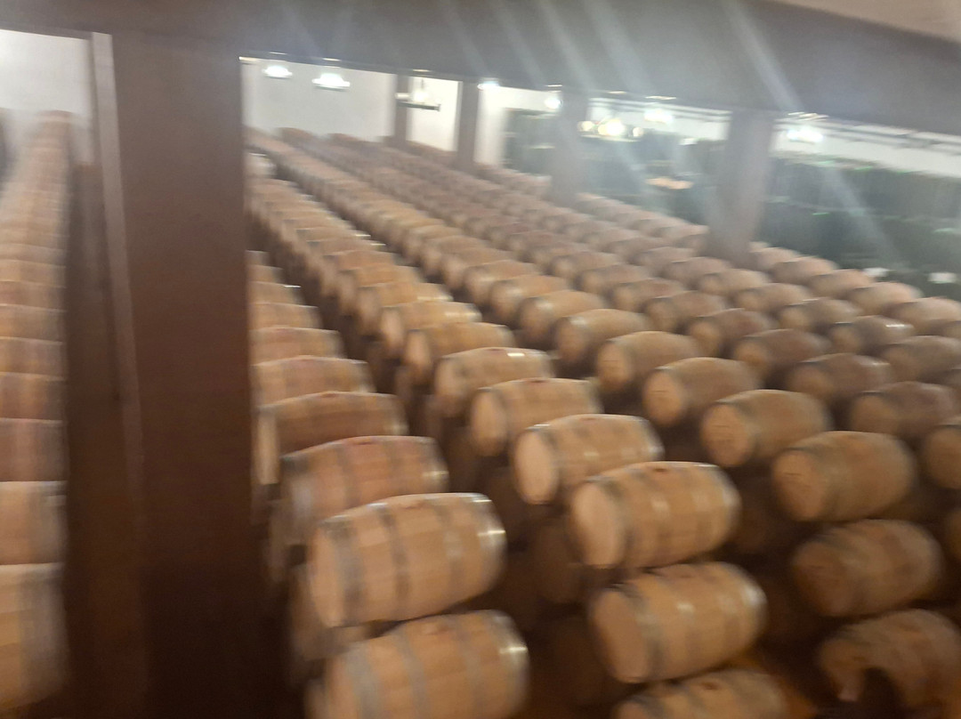 Bodegas Fariña-Toro必去景点