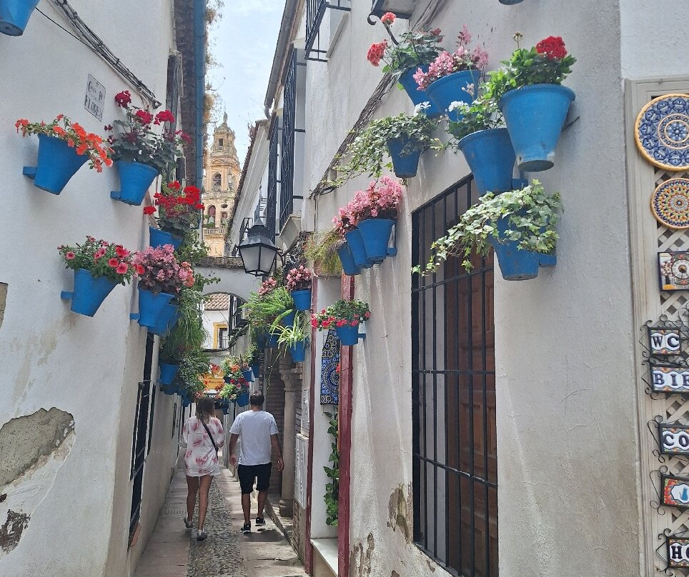 Tour Andalucia-马拉加必去景点