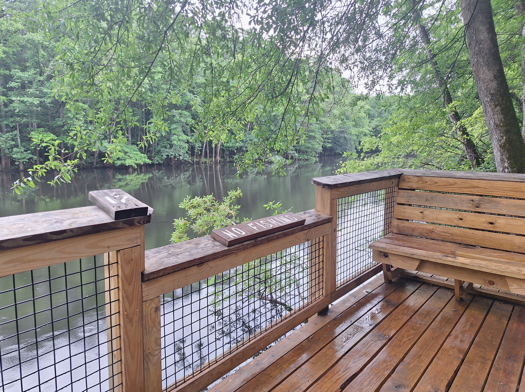 Congaree National Park-Hopkins必去景点