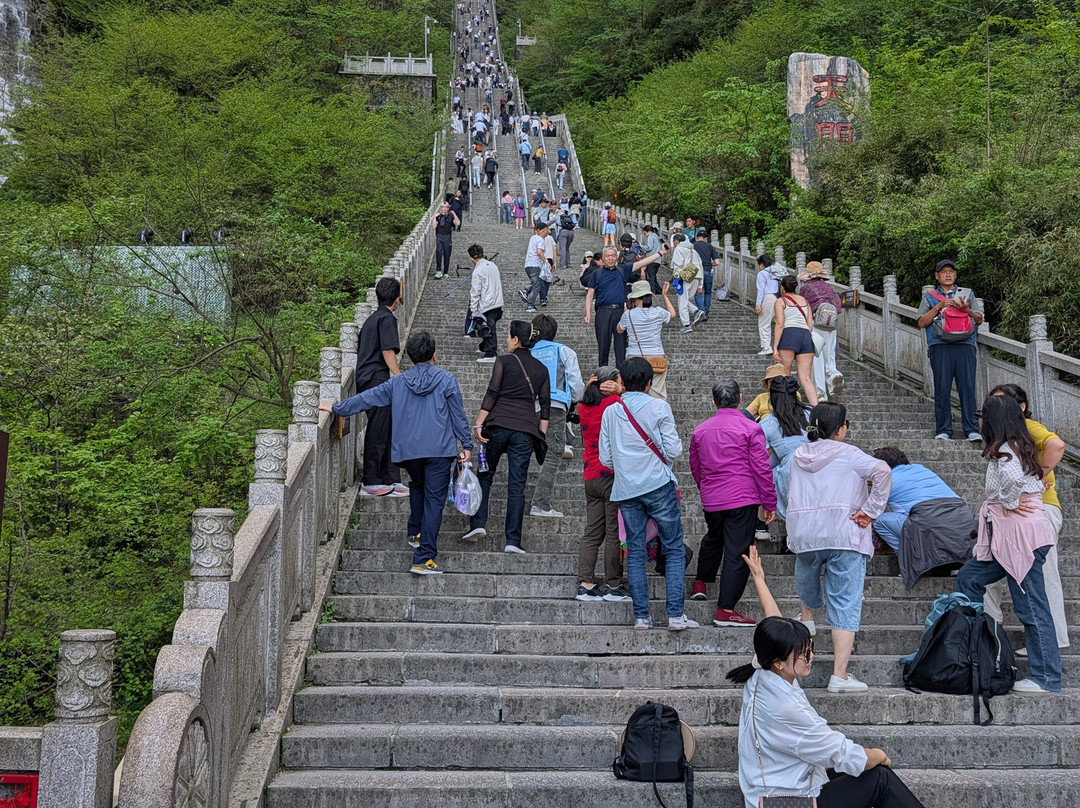 999階天梯-张家界市必去景点