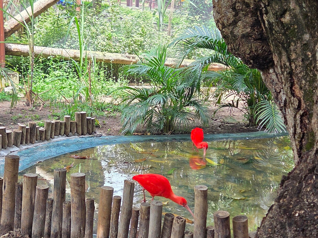 Parque Arvorar-Aquiraz必去景点