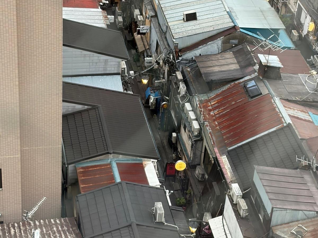 东京新宿馨乐庭中央酒店(雅诗阁集团)主图
