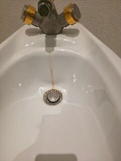法兰西酒店主图