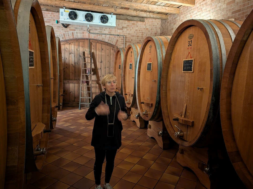 Tasting Tours-Villanova d'Asti必去景点