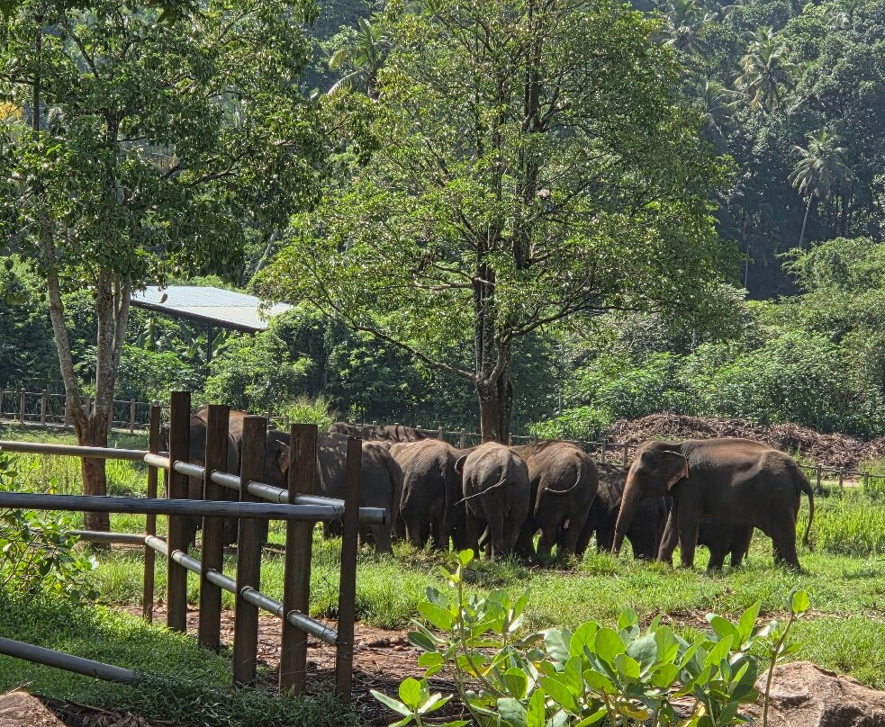 See Lanka Travels-Waikkal必去景点