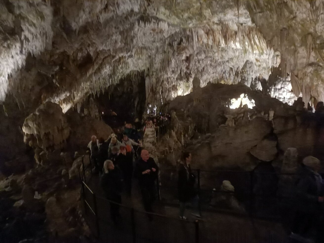 Postojna Cave-波斯托伊纳必去景点