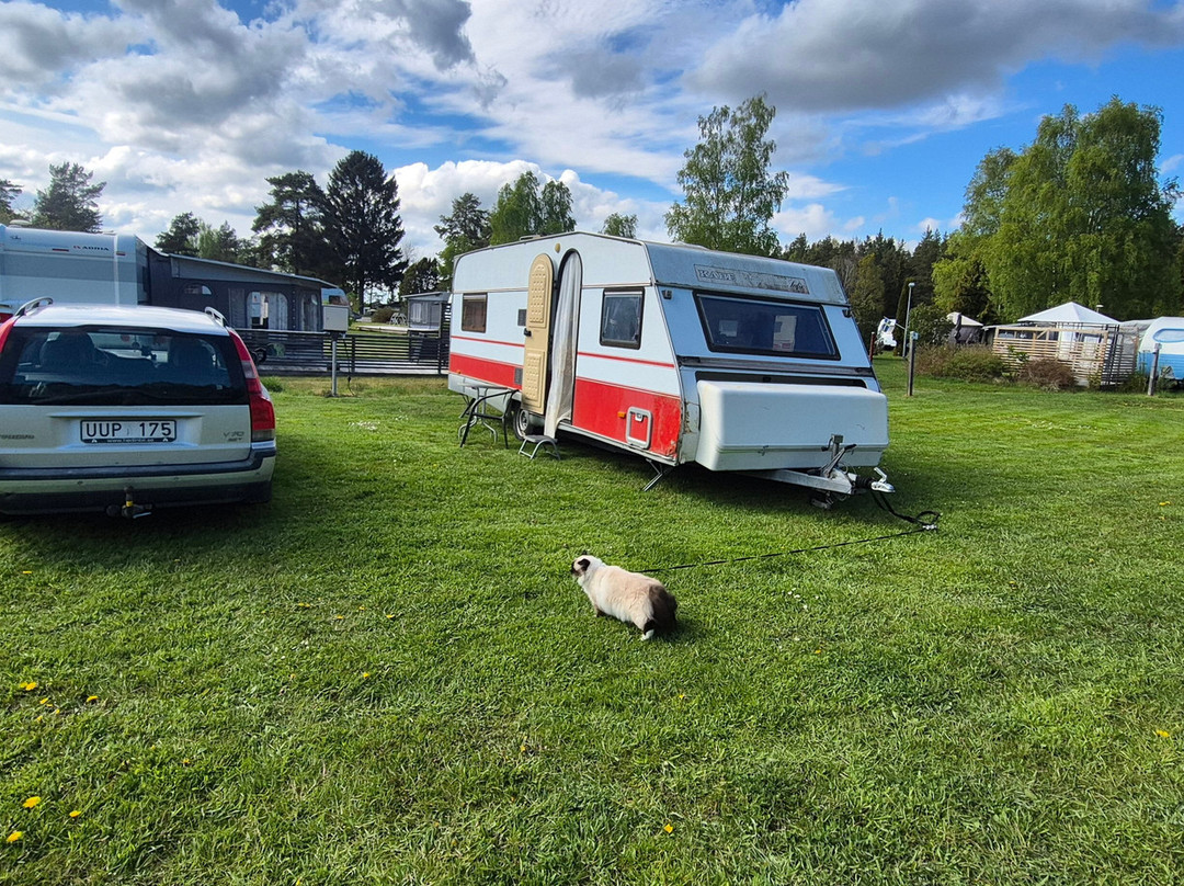Camp Nygård