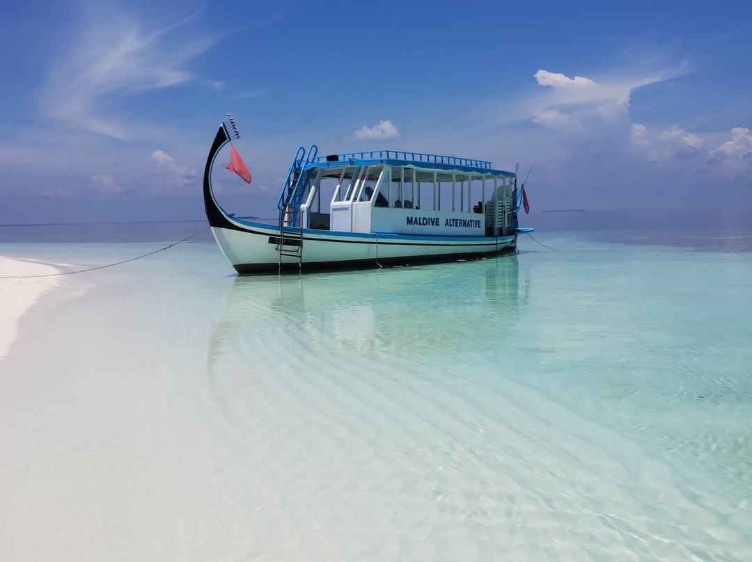 Local Travel Beach主图