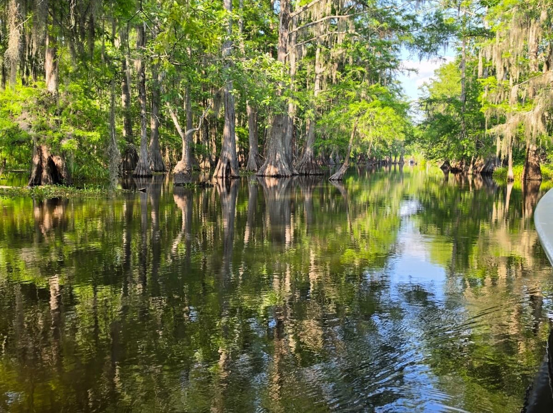 Cajun Country Swamp Tours-布里奥克斯桥必去景点