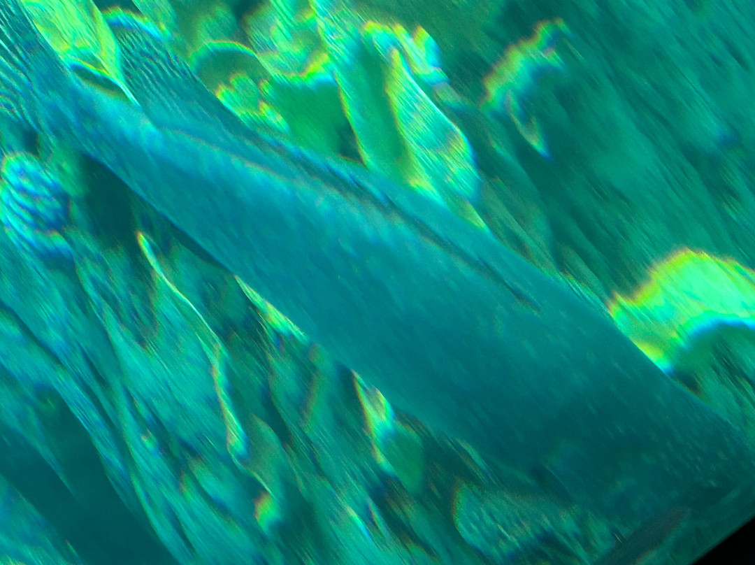太平洋水族馆-长滩必去景点