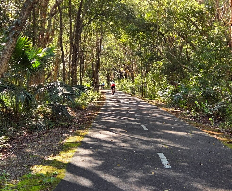 Fernleigh Track-纽卡斯尔必去景点