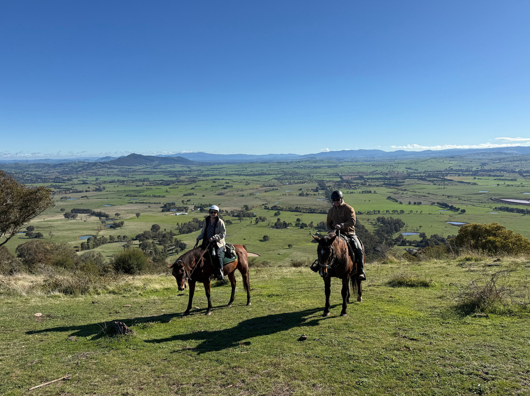 Watson's Mountain Country Trail Rides - Day Tours-曼斯菲尔德必去景点