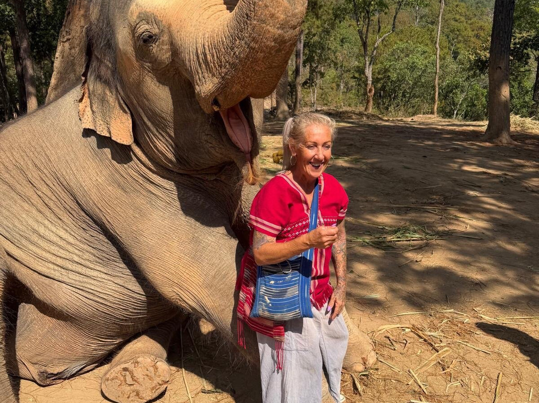 Elephant Freedom Village-清迈必去景点