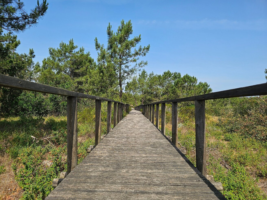 Reserva Natural das Dunas de Sao Jacinto-Sao Jacinto必去景点