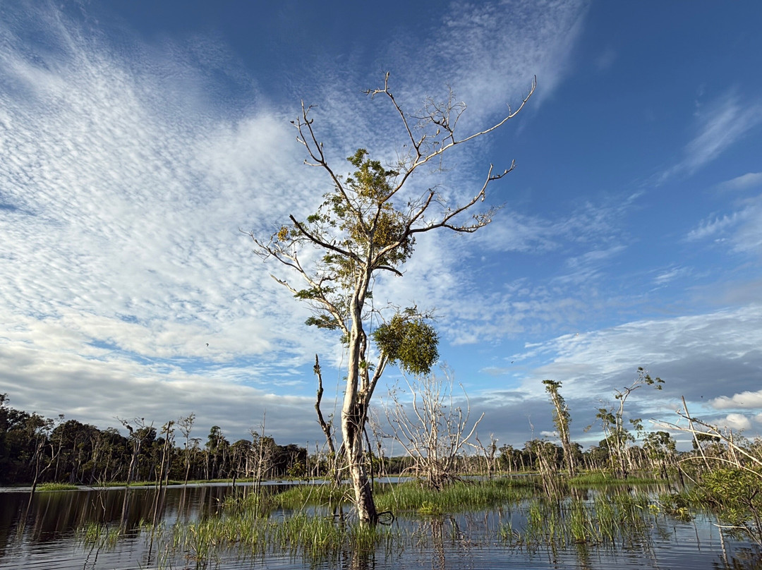 Lupuna Jungle Tours主图