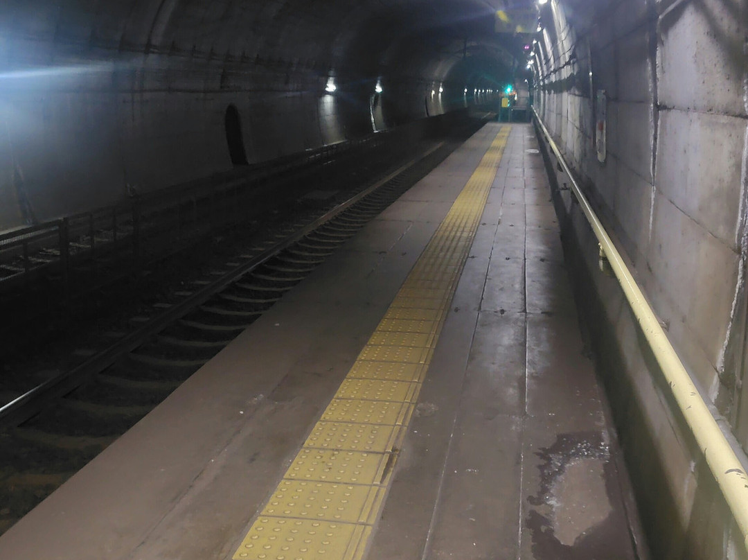 Tsutsuishi Station-糸鱼川市必去景点