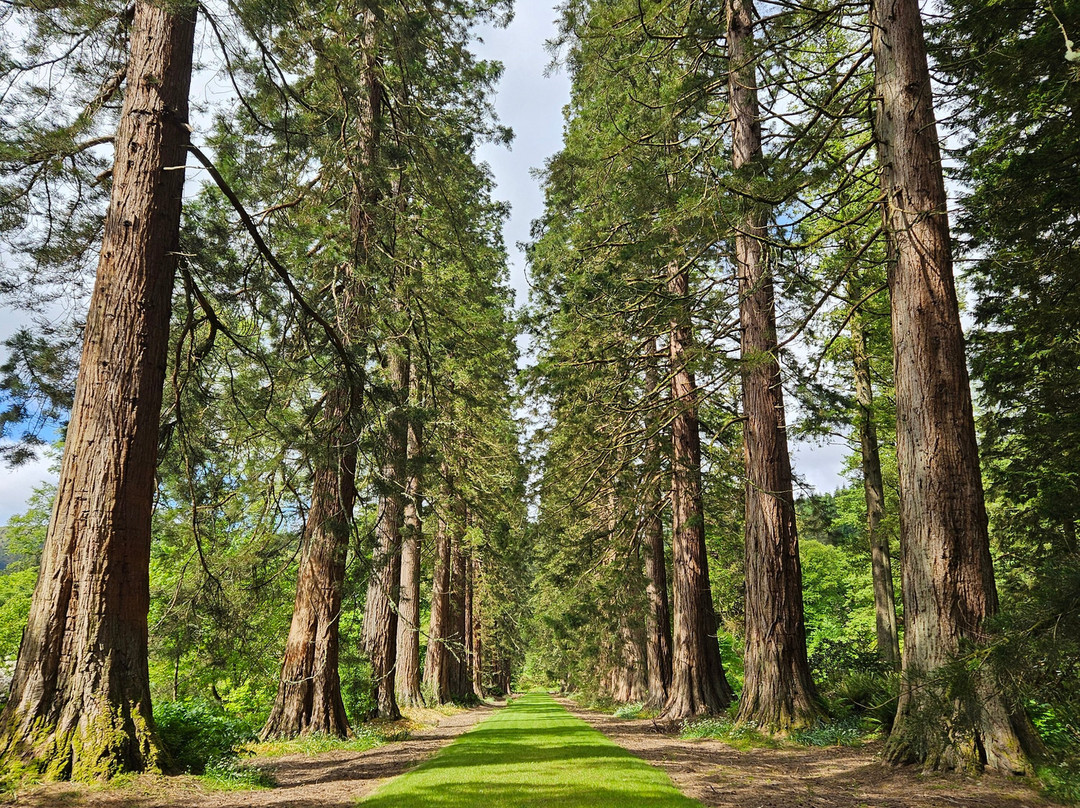 Benmore Botanic Garden-Benmore必去景点